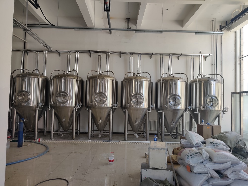 大连2000L精酿啤酒