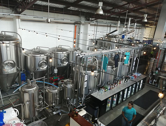 酒吧/酒店/啤酒屋酿造 酒吧/酒店/啤酒屋酿造